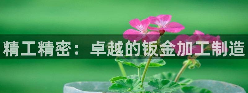 乐发邀请码平台