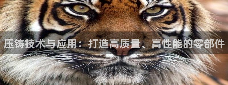 发乐发彩票平台注册码