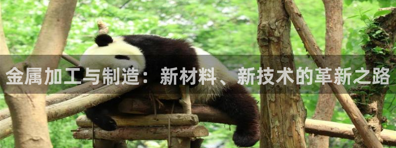 乐发彩票直播平台下载