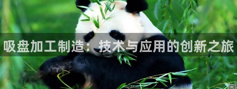 乐发平台注册地址怎么填