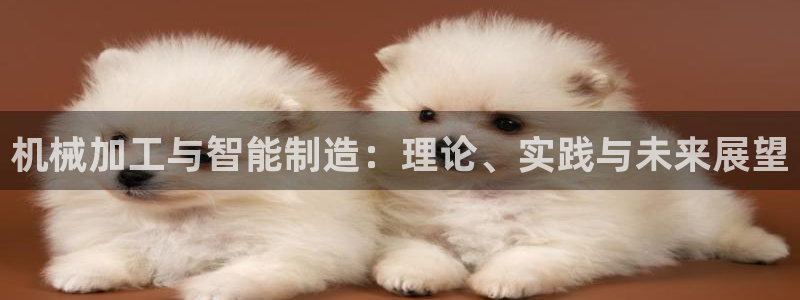 乐发平台彩票怎么兑奖