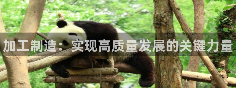 乐发彩票最新平台app