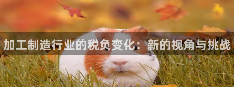 乐发体育平台怎么样知乎