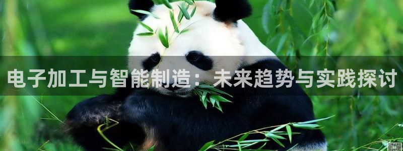 乐发国际 皇恩a平台