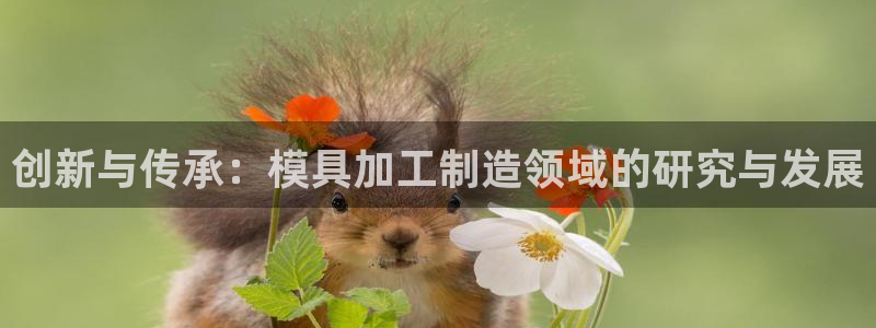 乐发国际平台客服电话