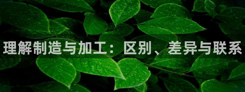 彩票乐发III购彩平台