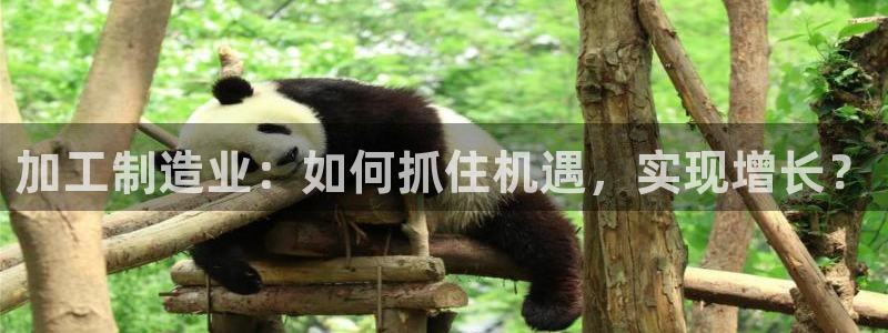 乐发彩票平台玩能赚钱吗