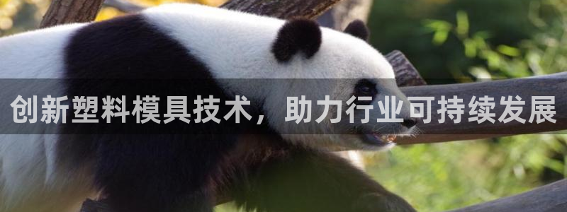 类似乐发传媒的平台