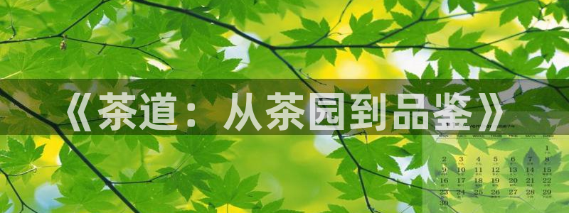 乐发平台真的假的